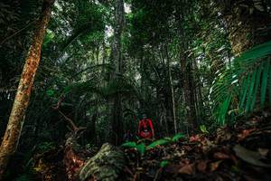 BIB: 
                            <button type="button" onclick="openModal(26423819)" class="btn btn-primary btn-sm float-right btn-popup" data-toggle="modal" data-target=".modal-high-quality">
                        <i class="fas fa-shopping-cart"></i> Add to Cart
                    </button>
                                            <button type="button" onclick="isThisMe(26423819, true)" class="btn btn-success btn-sm float-right btn-popup btn-isme hidden" data-toggle="tooltip" data-placement="bottom" title="นี่คือรูปของคุณใช่ไหม คลิกที่นี่เพื่อเอาเข้าอัลบั้ม">
                        <i class="fas fa-plus"></i> Add to album
                    </button>
                    <button type="button" onclick="isThisMe(26423819, false)" class="btn btn-warning btn-sm float-right btn-popup btn-isnotme hidden">
                        <i class="fas fa-ban"></i> Remove from album
                    </button>