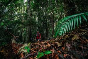 BIB: 
                            <button type="button" onclick="openModal(26427362)" class="btn btn-primary btn-sm float-right btn-popup" data-toggle="modal" data-target=".modal-high-quality">
                        <i class="fas fa-shopping-cart"></i> Add to Cart
                    </button>
                                            <button type="button" onclick="isThisMe(26427362, true)" class="btn btn-success btn-sm float-right btn-popup btn-isme hidden" data-toggle="tooltip" data-placement="bottom" title="นี่คือรูปของคุณใช่ไหม คลิกที่นี่เพื่อเอาเข้าอัลบั้ม">
                        <i class="fas fa-plus"></i> Add to album
                    </button>
                    <button type="button" onclick="isThisMe(26427362, false)" class="btn btn-warning btn-sm float-right btn-popup btn-isnotme hidden">
                        <i class="fas fa-ban"></i> Remove from album
                    </button>