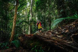 BIB: 
                            <button type="button" onclick="openModal(26425768)" class="btn btn-primary btn-sm float-right btn-popup" data-toggle="modal" data-target=".modal-high-quality">
                        <i class="fas fa-shopping-cart"></i> Add to Cart
                    </button>
                                            <button type="button" onclick="isThisMe(26425768, true)" class="btn btn-success btn-sm float-right btn-popup btn-isme hidden" data-toggle="tooltip" data-placement="bottom" title="นี่คือรูปของคุณใช่ไหม คลิกที่นี่เพื่อเอาเข้าอัลบั้ม">
                        <i class="fas fa-plus"></i> Add to album
                    </button>
                    <button type="button" onclick="isThisMe(26425768, false)" class="btn btn-warning btn-sm float-right btn-popup btn-isnotme hidden">
                        <i class="fas fa-ban"></i> Remove from album
                    </button>