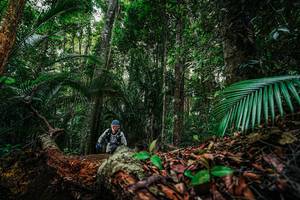 BIB: 
                            <button type="button" onclick="openModal(26427561)" class="btn btn-primary btn-sm float-right btn-popup" data-toggle="modal" data-target=".modal-high-quality">
                        <i class="fas fa-shopping-cart"></i> Add to Cart
                    </button>
                                            <button type="button" onclick="isThisMe(26427561, true)" class="btn btn-success btn-sm float-right btn-popup btn-isme hidden" data-toggle="tooltip" data-placement="bottom" title="นี่คือรูปของคุณใช่ไหม คลิกที่นี่เพื่อเอาเข้าอัลบั้ม">
                        <i class="fas fa-plus"></i> Add to album
                    </button>
                    <button type="button" onclick="isThisMe(26427561, false)" class="btn btn-warning btn-sm float-right btn-popup btn-isnotme hidden">
                        <i class="fas fa-ban"></i> Remove from album
                    </button>