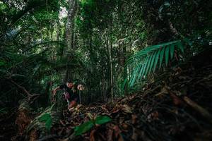 BIB: 
                            <button type="button" onclick="openModal(26431794)" class="btn btn-primary btn-sm float-right btn-popup" data-toggle="modal" data-target=".modal-high-quality">
                        <i class="fas fa-shopping-cart"></i> Add to Cart
                    </button>
                                            <button type="button" onclick="isThisMe(26431794, true)" class="btn btn-success btn-sm float-right btn-popup btn-isme hidden" data-toggle="tooltip" data-placement="bottom" title="นี่คือรูปของคุณใช่ไหม คลิกที่นี่เพื่อเอาเข้าอัลบั้ม">
                        <i class="fas fa-plus"></i> Add to album
                    </button>
                    <button type="button" onclick="isThisMe(26431794, false)" class="btn btn-warning btn-sm float-right btn-popup btn-isnotme hidden">
                        <i class="fas fa-ban"></i> Remove from album
                    </button>