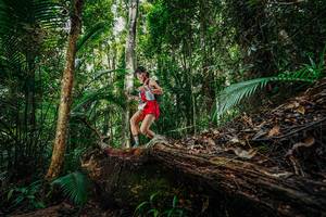 BIB: 
                            <button type="button" onclick="openModal(26425595)" class="btn btn-primary btn-sm float-right btn-popup" data-toggle="modal" data-target=".modal-high-quality">
                        <i class="fas fa-shopping-cart"></i> Add to Cart
                    </button>
                                            <button type="button" onclick="isThisMe(26425595, true)" class="btn btn-success btn-sm float-right btn-popup btn-isme hidden" data-toggle="tooltip" data-placement="bottom" title="นี่คือรูปของคุณใช่ไหม คลิกที่นี่เพื่อเอาเข้าอัลบั้ม">
                        <i class="fas fa-plus"></i> Add to album
                    </button>
                    <button type="button" onclick="isThisMe(26425595, false)" class="btn btn-warning btn-sm float-right btn-popup btn-isnotme hidden">
                        <i class="fas fa-ban"></i> Remove from album
                    </button>