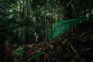 BIB: 
                            <button type="button" onclick="openModal(26431893)" class="btn btn-primary btn-sm float-right btn-popup" data-toggle="modal" data-target=".modal-high-quality">
                        <i class="fas fa-shopping-cart"></i> Add to Cart
                    </button>
                                            <button type="button" onclick="isThisMe(26431893, true)" class="btn btn-success btn-sm float-right btn-popup btn-isme hidden" data-toggle="tooltip" data-placement="bottom" title="นี่คือรูปของคุณใช่ไหม คลิกที่นี่เพื่อเอาเข้าอัลบั้ม">
                        <i class="fas fa-plus"></i> Add to album
                    </button>
                    <button type="button" onclick="isThisMe(26431893, false)" class="btn btn-warning btn-sm float-right btn-popup btn-isnotme hidden">
                        <i class="fas fa-ban"></i> Remove from album
                    </button>