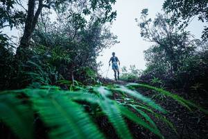 BIB: 
                            <button type="button" onclick="openModal(26416806)" class="btn btn-primary btn-sm float-right btn-popup" data-toggle="modal" data-target=".modal-high-quality">
                        <i class="fas fa-shopping-cart"></i> Add to Cart
                    </button>
                                            <button type="button" onclick="isThisMe(26416806, true)" class="btn btn-success btn-sm float-right btn-popup btn-isme hidden" data-toggle="tooltip" data-placement="bottom" title="นี่คือรูปของคุณใช่ไหม คลิกที่นี่เพื่อเอาเข้าอัลบั้ม">
                        <i class="fas fa-plus"></i> Add to album
                    </button>
                    <button type="button" onclick="isThisMe(26416806, false)" class="btn btn-warning btn-sm float-right btn-popup btn-isnotme hidden">
                        <i class="fas fa-ban"></i> Remove from album
                    </button>