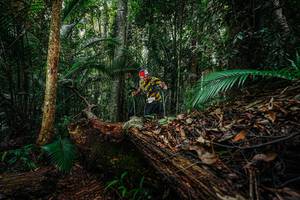 BIB: 
                            <button type="button" onclick="openModal(26426478)" class="btn btn-primary btn-sm float-right btn-popup" data-toggle="modal" data-target=".modal-high-quality">
                        <i class="fas fa-shopping-cart"></i> Add to Cart
                    </button>
                                            <button type="button" onclick="isThisMe(26426478, true)" class="btn btn-success btn-sm float-right btn-popup btn-isme hidden" data-toggle="tooltip" data-placement="bottom" title="นี่คือรูปของคุณใช่ไหม คลิกที่นี่เพื่อเอาเข้าอัลบั้ม">
                        <i class="fas fa-plus"></i> Add to album
                    </button>
                    <button type="button" onclick="isThisMe(26426478, false)" class="btn btn-warning btn-sm float-right btn-popup btn-isnotme hidden">
                        <i class="fas fa-ban"></i> Remove from album
                    </button>