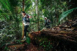 BIB: 
                            <button type="button" onclick="openModal(26424960)" class="btn btn-primary btn-sm float-right btn-popup" data-toggle="modal" data-target=".modal-high-quality">
                        <i class="fas fa-shopping-cart"></i> Add to Cart
                    </button>
                                            <button type="button" onclick="isThisMe(26424960, true)" class="btn btn-success btn-sm float-right btn-popup btn-isme hidden" data-toggle="tooltip" data-placement="bottom" title="นี่คือรูปของคุณใช่ไหม คลิกที่นี่เพื่อเอาเข้าอัลบั้ม">
                        <i class="fas fa-plus"></i> Add to album
                    </button>
                    <button type="button" onclick="isThisMe(26424960, false)" class="btn btn-warning btn-sm float-right btn-popup btn-isnotme hidden">
                        <i class="fas fa-ban"></i> Remove from album
                    </button>