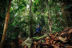 BIB: 
                            <button type="button" onclick="openModal(26420839)" class="btn btn-primary btn-sm float-right btn-popup" data-toggle="modal" data-target=".modal-high-quality">
                        <i class="fas fa-shopping-cart"></i> Add to Cart
                    </button>
                                            <button type="button" onclick="isThisMe(26420839, true)" class="btn btn-success btn-sm float-right btn-popup btn-isme hidden" data-toggle="tooltip" data-placement="bottom" title="นี่คือรูปของคุณใช่ไหม คลิกที่นี่เพื่อเอาเข้าอัลบั้ม">
                        <i class="fas fa-plus"></i> Add to album
                    </button>
                    <button type="button" onclick="isThisMe(26420839, false)" class="btn btn-warning btn-sm float-right btn-popup btn-isnotme hidden">
                        <i class="fas fa-ban"></i> Remove from album
                    </button>