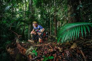 BIB: 
                            <button type="button" onclick="openModal(26427647)" class="btn btn-primary btn-sm float-right btn-popup" data-toggle="modal" data-target=".modal-high-quality">
                        <i class="fas fa-shopping-cart"></i> Add to Cart
                    </button>
                                            <button type="button" onclick="isThisMe(26427647, true)" class="btn btn-success btn-sm float-right btn-popup btn-isme hidden" data-toggle="tooltip" data-placement="bottom" title="นี่คือรูปของคุณใช่ไหม คลิกที่นี่เพื่อเอาเข้าอัลบั้ม">
                        <i class="fas fa-plus"></i> Add to album
                    </button>
                    <button type="button" onclick="isThisMe(26427647, false)" class="btn btn-warning btn-sm float-right btn-popup btn-isnotme hidden">
                        <i class="fas fa-ban"></i> Remove from album
                    </button>