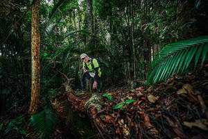 BIB: 
                            <button type="button" onclick="openModal(26427014)" class="btn btn-primary btn-sm float-right btn-popup" data-toggle="modal" data-target=".modal-high-quality">
                        <i class="fas fa-shopping-cart"></i> Add to Cart
                    </button>
                                            <button type="button" onclick="isThisMe(26427014, true)" class="btn btn-success btn-sm float-right btn-popup btn-isme hidden" data-toggle="tooltip" data-placement="bottom" title="นี่คือรูปของคุณใช่ไหม คลิกที่นี่เพื่อเอาเข้าอัลบั้ม">
                        <i class="fas fa-plus"></i> Add to album
                    </button>
                    <button type="button" onclick="isThisMe(26427014, false)" class="btn btn-warning btn-sm float-right btn-popup btn-isnotme hidden">
                        <i class="fas fa-ban"></i> Remove from album
                    </button>