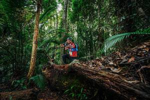 BIB: 
                            <button type="button" onclick="openModal(26425510)" class="btn btn-primary btn-sm float-right btn-popup" data-toggle="modal" data-target=".modal-high-quality">
                        <i class="fas fa-shopping-cart"></i> Add to Cart
                    </button>
                                            <button type="button" onclick="isThisMe(26425510, true)" class="btn btn-success btn-sm float-right btn-popup btn-isme hidden" data-toggle="tooltip" data-placement="bottom" title="นี่คือรูปของคุณใช่ไหม คลิกที่นี่เพื่อเอาเข้าอัลบั้ม">
                        <i class="fas fa-plus"></i> Add to album
                    </button>
                    <button type="button" onclick="isThisMe(26425510, false)" class="btn btn-warning btn-sm float-right btn-popup btn-isnotme hidden">
                        <i class="fas fa-ban"></i> Remove from album
                    </button>