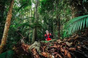 BIB: 
                            <button type="button" onclick="openModal(26423143)" class="btn btn-primary btn-sm float-right btn-popup" data-toggle="modal" data-target=".modal-high-quality">
                        <i class="fas fa-shopping-cart"></i> Add to Cart
                    </button>
                                            <button type="button" onclick="isThisMe(26423143, true)" class="btn btn-success btn-sm float-right btn-popup btn-isme hidden" data-toggle="tooltip" data-placement="bottom" title="นี่คือรูปของคุณใช่ไหม คลิกที่นี่เพื่อเอาเข้าอัลบั้ม">
                        <i class="fas fa-plus"></i> Add to album
                    </button>
                    <button type="button" onclick="isThisMe(26423143, false)" class="btn btn-warning btn-sm float-right btn-popup btn-isnotme hidden">
                        <i class="fas fa-ban"></i> Remove from album
                    </button>