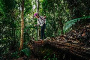 BIB: 
                            <button type="button" onclick="openModal(26425658)" class="btn btn-primary btn-sm float-right btn-popup" data-toggle="modal" data-target=".modal-high-quality">
                        <i class="fas fa-shopping-cart"></i> Add to Cart
                    </button>
                                            <button type="button" onclick="isThisMe(26425658, true)" class="btn btn-success btn-sm float-right btn-popup btn-isme hidden" data-toggle="tooltip" data-placement="bottom" title="นี่คือรูปของคุณใช่ไหม คลิกที่นี่เพื่อเอาเข้าอัลบั้ม">
                        <i class="fas fa-plus"></i> Add to album
                    </button>
                    <button type="button" onclick="isThisMe(26425658, false)" class="btn btn-warning btn-sm float-right btn-popup btn-isnotme hidden">
                        <i class="fas fa-ban"></i> Remove from album
                    </button>