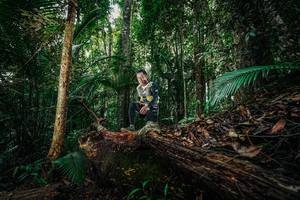 BIB: 
                            <button type="button" onclick="openModal(26426262)" class="btn btn-primary btn-sm float-right btn-popup" data-toggle="modal" data-target=".modal-high-quality">
                        <i class="fas fa-shopping-cart"></i> Add to Cart
                    </button>
                                            <button type="button" onclick="isThisMe(26426262, true)" class="btn btn-success btn-sm float-right btn-popup btn-isme hidden" data-toggle="tooltip" data-placement="bottom" title="นี่คือรูปของคุณใช่ไหม คลิกที่นี่เพื่อเอาเข้าอัลบั้ม">
                        <i class="fas fa-plus"></i> Add to album
                    </button>
                    <button type="button" onclick="isThisMe(26426262, false)" class="btn btn-warning btn-sm float-right btn-popup btn-isnotme hidden">
                        <i class="fas fa-ban"></i> Remove from album
                    </button>