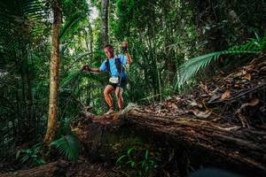 BIB: 
                            <button type="button" onclick="openModal(26425670)" class="btn btn-primary btn-sm float-right btn-popup" data-toggle="modal" data-target=".modal-high-quality">
                        <i class="fas fa-shopping-cart"></i> Add to Cart
                    </button>
                                            <button type="button" onclick="isThisMe(26425670, true)" class="btn btn-success btn-sm float-right btn-popup btn-isme hidden" data-toggle="tooltip" data-placement="bottom" title="นี่คือรูปของคุณใช่ไหม คลิกที่นี่เพื่อเอาเข้าอัลบั้ม">
                        <i class="fas fa-plus"></i> Add to album
                    </button>
                    <button type="button" onclick="isThisMe(26425670, false)" class="btn btn-warning btn-sm float-right btn-popup btn-isnotme hidden">
                        <i class="fas fa-ban"></i> Remove from album
                    </button>