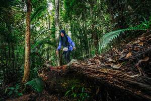 BIB: 
                            <button type="button" onclick="openModal(26425657)" class="btn btn-primary btn-sm float-right btn-popup" data-toggle="modal" data-target=".modal-high-quality">
                        <i class="fas fa-shopping-cart"></i> Add to Cart
                    </button>
                                            <button type="button" onclick="isThisMe(26425657, true)" class="btn btn-success btn-sm float-right btn-popup btn-isme hidden" data-toggle="tooltip" data-placement="bottom" title="นี่คือรูปของคุณใช่ไหม คลิกที่นี่เพื่อเอาเข้าอัลบั้ม">
                        <i class="fas fa-plus"></i> Add to album
                    </button>
                    <button type="button" onclick="isThisMe(26425657, false)" class="btn btn-warning btn-sm float-right btn-popup btn-isnotme hidden">
                        <i class="fas fa-ban"></i> Remove from album
                    </button>