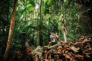 BIB: 
                            <button type="button" onclick="openModal(26421029)" class="btn btn-primary btn-sm float-right btn-popup" data-toggle="modal" data-target=".modal-high-quality">
                        <i class="fas fa-shopping-cart"></i> Add to Cart
                    </button>
                                            <button type="button" onclick="isThisMe(26421029, true)" class="btn btn-success btn-sm float-right btn-popup btn-isme hidden" data-toggle="tooltip" data-placement="bottom" title="นี่คือรูปของคุณใช่ไหม คลิกที่นี่เพื่อเอาเข้าอัลบั้ม">
                        <i class="fas fa-plus"></i> Add to album
                    </button>
                    <button type="button" onclick="isThisMe(26421029, false)" class="btn btn-warning btn-sm float-right btn-popup btn-isnotme hidden">
                        <i class="fas fa-ban"></i> Remove from album
                    </button>