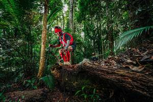 BIB: 
                            <button type="button" onclick="openModal(26425087)" class="btn btn-primary btn-sm float-right btn-popup" data-toggle="modal" data-target=".modal-high-quality">
                        <i class="fas fa-shopping-cart"></i> Add to Cart
                    </button>
                                            <button type="button" onclick="isThisMe(26425087, true)" class="btn btn-success btn-sm float-right btn-popup btn-isme hidden" data-toggle="tooltip" data-placement="bottom" title="นี่คือรูปของคุณใช่ไหม คลิกที่นี่เพื่อเอาเข้าอัลบั้ม">
                        <i class="fas fa-plus"></i> Add to album
                    </button>
                    <button type="button" onclick="isThisMe(26425087, false)" class="btn btn-warning btn-sm float-right btn-popup btn-isnotme hidden">
                        <i class="fas fa-ban"></i> Remove from album
                    </button>