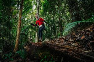 BIB: 
                            <button type="button" onclick="openModal(26425837)" class="btn btn-primary btn-sm float-right btn-popup" data-toggle="modal" data-target=".modal-high-quality">
                        <i class="fas fa-shopping-cart"></i> Add to Cart
                    </button>
                                            <button type="button" onclick="isThisMe(26425837, true)" class="btn btn-success btn-sm float-right btn-popup btn-isme hidden" data-toggle="tooltip" data-placement="bottom" title="นี่คือรูปของคุณใช่ไหม คลิกที่นี่เพื่อเอาเข้าอัลบั้ม">
                        <i class="fas fa-plus"></i> Add to album
                    </button>
                    <button type="button" onclick="isThisMe(26425837, false)" class="btn btn-warning btn-sm float-right btn-popup btn-isnotme hidden">
                        <i class="fas fa-ban"></i> Remove from album
                    </button>