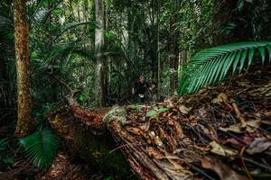 BIB: 
                            <button type="button" onclick="openModal(26426612)" class="btn btn-primary btn-sm float-right btn-popup" data-toggle="modal" data-target=".modal-high-quality">
                        <i class="fas fa-shopping-cart"></i> Add to Cart
                    </button>
                                            <button type="button" onclick="isThisMe(26426612, true)" class="btn btn-success btn-sm float-right btn-popup btn-isme hidden" data-toggle="tooltip" data-placement="bottom" title="นี่คือรูปของคุณใช่ไหม คลิกที่นี่เพื่อเอาเข้าอัลบั้ม">
                        <i class="fas fa-plus"></i> Add to album
                    </button>
                    <button type="button" onclick="isThisMe(26426612, false)" class="btn btn-warning btn-sm float-right btn-popup btn-isnotme hidden">
                        <i class="fas fa-ban"></i> Remove from album
                    </button>