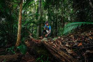 BIB: 
                            <button type="button" onclick="openModal(26426497)" class="btn btn-primary btn-sm float-right btn-popup" data-toggle="modal" data-target=".modal-high-quality">
                        <i class="fas fa-shopping-cart"></i> Add to Cart
                    </button>
                                            <button type="button" onclick="isThisMe(26426497, true)" class="btn btn-success btn-sm float-right btn-popup btn-isme hidden" data-toggle="tooltip" data-placement="bottom" title="นี่คือรูปของคุณใช่ไหม คลิกที่นี่เพื่อเอาเข้าอัลบั้ม">
                        <i class="fas fa-plus"></i> Add to album
                    </button>
                    <button type="button" onclick="isThisMe(26426497, false)" class="btn btn-warning btn-sm float-right btn-popup btn-isnotme hidden">
                        <i class="fas fa-ban"></i> Remove from album
                    </button>