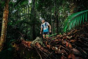 BIB: 
                            <button type="button" onclick="openModal(26423753)" class="btn btn-primary btn-sm float-right btn-popup" data-toggle="modal" data-target=".modal-high-quality">
                        <i class="fas fa-shopping-cart"></i> Add to Cart
                    </button>
                                            <button type="button" onclick="isThisMe(26423753, true)" class="btn btn-success btn-sm float-right btn-popup btn-isme hidden" data-toggle="tooltip" data-placement="bottom" title="นี่คือรูปของคุณใช่ไหม คลิกที่นี่เพื่อเอาเข้าอัลบั้ม">
                        <i class="fas fa-plus"></i> Add to album
                    </button>
                    <button type="button" onclick="isThisMe(26423753, false)" class="btn btn-warning btn-sm float-right btn-popup btn-isnotme hidden">
                        <i class="fas fa-ban"></i> Remove from album
                    </button>