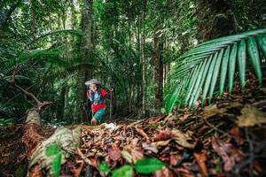 BIB: 
                            <button type="button" onclick="openModal(26429786)" class="btn btn-primary btn-sm float-right btn-popup" data-toggle="modal" data-target=".modal-high-quality">
                        <i class="fas fa-shopping-cart"></i> Add to Cart
                    </button>
                                            <button type="button" onclick="isThisMe(26429786, true)" class="btn btn-success btn-sm float-right btn-popup btn-isme hidden" data-toggle="tooltip" data-placement="bottom" title="นี่คือรูปของคุณใช่ไหม คลิกที่นี่เพื่อเอาเข้าอัลบั้ม">
                        <i class="fas fa-plus"></i> Add to album
                    </button>
                    <button type="button" onclick="isThisMe(26429786, false)" class="btn btn-warning btn-sm float-right btn-popup btn-isnotme hidden">
                        <i class="fas fa-ban"></i> Remove from album
                    </button>