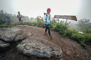 BIB: 
                            <button type="button" onclick="openModal(26420171)" class="btn btn-primary btn-sm float-right btn-popup" data-toggle="modal" data-target=".modal-high-quality">
                        <i class="fas fa-shopping-cart"></i> Add to Cart
                    </button>
                                            <button type="button" onclick="isThisMe(26420171, true)" class="btn btn-success btn-sm float-right btn-popup btn-isme hidden" data-toggle="tooltip" data-placement="bottom" title="นี่คือรูปของคุณใช่ไหม คลิกที่นี่เพื่อเอาเข้าอัลบั้ม">
                        <i class="fas fa-plus"></i> Add to album
                    </button>
                    <button type="button" onclick="isThisMe(26420171, false)" class="btn btn-warning btn-sm float-right btn-popup btn-isnotme hidden">
                        <i class="fas fa-ban"></i> Remove from album
                    </button>