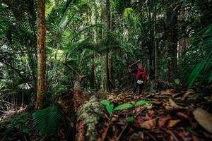 BIB: 
                            <button type="button" onclick="openModal(26424566)" class="btn btn-primary btn-sm float-right btn-popup" data-toggle="modal" data-target=".modal-high-quality">
                        <i class="fas fa-shopping-cart"></i> Add to Cart
                    </button>
                                            <button type="button" onclick="isThisMe(26424566, true)" class="btn btn-success btn-sm float-right btn-popup btn-isme hidden" data-toggle="tooltip" data-placement="bottom" title="นี่คือรูปของคุณใช่ไหม คลิกที่นี่เพื่อเอาเข้าอัลบั้ม">
                        <i class="fas fa-plus"></i> Add to album
                    </button>
                    <button type="button" onclick="isThisMe(26424566, false)" class="btn btn-warning btn-sm float-right btn-popup btn-isnotme hidden">
                        <i class="fas fa-ban"></i> Remove from album
                    </button>