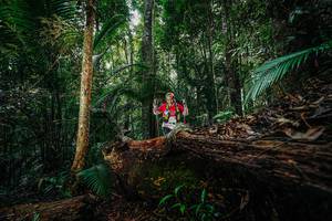 BIB: 
                            <button type="button" onclick="openModal(26426087)" class="btn btn-primary btn-sm float-right btn-popup" data-toggle="modal" data-target=".modal-high-quality">
                        <i class="fas fa-shopping-cart"></i> Add to Cart
                    </button>
                                            <button type="button" onclick="isThisMe(26426087, true)" class="btn btn-success btn-sm float-right btn-popup btn-isme hidden" data-toggle="tooltip" data-placement="bottom" title="นี่คือรูปของคุณใช่ไหม คลิกที่นี่เพื่อเอาเข้าอัลบั้ม">
                        <i class="fas fa-plus"></i> Add to album
                    </button>
                    <button type="button" onclick="isThisMe(26426087, false)" class="btn btn-warning btn-sm float-right btn-popup btn-isnotme hidden">
                        <i class="fas fa-ban"></i> Remove from album
                    </button>