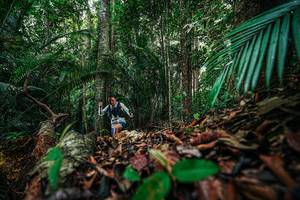 BIB: 
                            <button type="button" onclick="openModal(26430732)" class="btn btn-primary btn-sm float-right btn-popup" data-toggle="modal" data-target=".modal-high-quality">
                        <i class="fas fa-shopping-cart"></i> Add to Cart
                    </button>
                                            <button type="button" onclick="isThisMe(26430732, true)" class="btn btn-success btn-sm float-right btn-popup btn-isme hidden" data-toggle="tooltip" data-placement="bottom" title="นี่คือรูปของคุณใช่ไหม คลิกที่นี่เพื่อเอาเข้าอัลบั้ม">
                        <i class="fas fa-plus"></i> Add to album
                    </button>
                    <button type="button" onclick="isThisMe(26430732, false)" class="btn btn-warning btn-sm float-right btn-popup btn-isnotme hidden">
                        <i class="fas fa-ban"></i> Remove from album
                    </button>