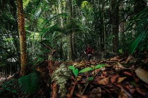 BIB: 
                            <button type="button" onclick="openModal(26424559)" class="btn btn-primary btn-sm float-right btn-popup" data-toggle="modal" data-target=".modal-high-quality">
                        <i class="fas fa-shopping-cart"></i> Add to Cart
                    </button>
                                            <button type="button" onclick="isThisMe(26424559, true)" class="btn btn-success btn-sm float-right btn-popup btn-isme hidden" data-toggle="tooltip" data-placement="bottom" title="นี่คือรูปของคุณใช่ไหม คลิกที่นี่เพื่อเอาเข้าอัลบั้ม">
                        <i class="fas fa-plus"></i> Add to album
                    </button>
                    <button type="button" onclick="isThisMe(26424559, false)" class="btn btn-warning btn-sm float-right btn-popup btn-isnotme hidden">
                        <i class="fas fa-ban"></i> Remove from album
                    </button>