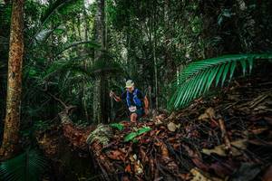 BIB: 
                            <button type="button" onclick="openModal(26427019)" class="btn btn-primary btn-sm float-right btn-popup" data-toggle="modal" data-target=".modal-high-quality">
                        <i class="fas fa-shopping-cart"></i> Add to Cart
                    </button>
                                            <button type="button" onclick="isThisMe(26427019, true)" class="btn btn-success btn-sm float-right btn-popup btn-isme hidden" data-toggle="tooltip" data-placement="bottom" title="นี่คือรูปของคุณใช่ไหม คลิกที่นี่เพื่อเอาเข้าอัลบั้ม">
                        <i class="fas fa-plus"></i> Add to album
                    </button>
                    <button type="button" onclick="isThisMe(26427019, false)" class="btn btn-warning btn-sm float-right btn-popup btn-isnotme hidden">
                        <i class="fas fa-ban"></i> Remove from album
                    </button>