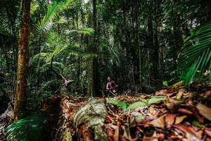 BIB: 
                            <button type="button" onclick="openModal(26423241)" class="btn btn-primary btn-sm float-right btn-popup" data-toggle="modal" data-target=".modal-high-quality">
                        <i class="fas fa-shopping-cart"></i> Add to Cart
                    </button>
                                            <button type="button" onclick="isThisMe(26423241, true)" class="btn btn-success btn-sm float-right btn-popup btn-isme hidden" data-toggle="tooltip" data-placement="bottom" title="นี่คือรูปของคุณใช่ไหม คลิกที่นี่เพื่อเอาเข้าอัลบั้ม">
                        <i class="fas fa-plus"></i> Add to album
                    </button>
                    <button type="button" onclick="isThisMe(26423241, false)" class="btn btn-warning btn-sm float-right btn-popup btn-isnotme hidden">
                        <i class="fas fa-ban"></i> Remove from album
                    </button>