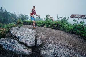 BIB: 
                            <button type="button" onclick="openModal(26416978)" class="btn btn-primary btn-sm float-right btn-popup" data-toggle="modal" data-target=".modal-high-quality">
                        <i class="fas fa-shopping-cart"></i> Add to Cart
                    </button>
                                            <button type="button" onclick="isThisMe(26416978, true)" class="btn btn-success btn-sm float-right btn-popup btn-isme hidden" data-toggle="tooltip" data-placement="bottom" title="นี่คือรูปของคุณใช่ไหม คลิกที่นี่เพื่อเอาเข้าอัลบั้ม">
                        <i class="fas fa-plus"></i> Add to album
                    </button>
                    <button type="button" onclick="isThisMe(26416978, false)" class="btn btn-warning btn-sm float-right btn-popup btn-isnotme hidden">
                        <i class="fas fa-ban"></i> Remove from album
                    </button>