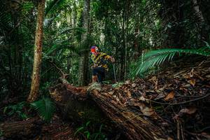 BIB: 
                            <button type="button" onclick="openModal(26426485)" class="btn btn-primary btn-sm float-right btn-popup" data-toggle="modal" data-target=".modal-high-quality">
                        <i class="fas fa-shopping-cart"></i> Add to Cart
                    </button>
                                            <button type="button" onclick="isThisMe(26426485, true)" class="btn btn-success btn-sm float-right btn-popup btn-isme hidden" data-toggle="tooltip" data-placement="bottom" title="นี่คือรูปของคุณใช่ไหม คลิกที่นี่เพื่อเอาเข้าอัลบั้ม">
                        <i class="fas fa-plus"></i> Add to album
                    </button>
                    <button type="button" onclick="isThisMe(26426485, false)" class="btn btn-warning btn-sm float-right btn-popup btn-isnotme hidden">
                        <i class="fas fa-ban"></i> Remove from album
                    </button>