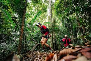 BIB: 
                            <button type="button" onclick="openModal(26420497)" class="btn btn-primary btn-sm float-right btn-popup" data-toggle="modal" data-target=".modal-high-quality">
                        <i class="fas fa-shopping-cart"></i> Add to Cart
                    </button>
                                            <button type="button" onclick="isThisMe(26420497, true)" class="btn btn-success btn-sm float-right btn-popup btn-isme hidden" data-toggle="tooltip" data-placement="bottom" title="นี่คือรูปของคุณใช่ไหม คลิกที่นี่เพื่อเอาเข้าอัลบั้ม">
                        <i class="fas fa-plus"></i> Add to album
                    </button>
                    <button type="button" onclick="isThisMe(26420497, false)" class="btn btn-warning btn-sm float-right btn-popup btn-isnotme hidden">
                        <i class="fas fa-ban"></i> Remove from album
                    </button>