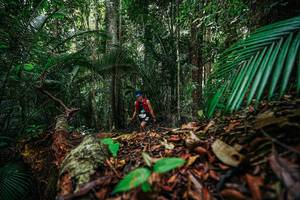 BIB: 
                            <button type="button" onclick="openModal(26427211)" class="btn btn-primary btn-sm float-right btn-popup" data-toggle="modal" data-target=".modal-high-quality">
                        <i class="fas fa-shopping-cart"></i> Add to Cart
                    </button>
                                            <button type="button" onclick="isThisMe(26427211, true)" class="btn btn-success btn-sm float-right btn-popup btn-isme hidden" data-toggle="tooltip" data-placement="bottom" title="นี่คือรูปของคุณใช่ไหม คลิกที่นี่เพื่อเอาเข้าอัลบั้ม">
                        <i class="fas fa-plus"></i> Add to album
                    </button>
                    <button type="button" onclick="isThisMe(26427211, false)" class="btn btn-warning btn-sm float-right btn-popup btn-isnotme hidden">
                        <i class="fas fa-ban"></i> Remove from album
                    </button>