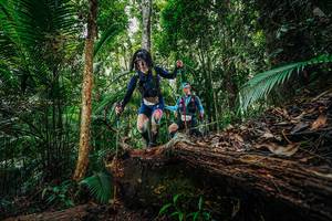 BIB: 
                            <button type="button" onclick="openModal(26425107)" class="btn btn-primary btn-sm float-right btn-popup" data-toggle="modal" data-target=".modal-high-quality">
                        <i class="fas fa-shopping-cart"></i> Add to Cart
                    </button>
                                            <button type="button" onclick="isThisMe(26425107, true)" class="btn btn-success btn-sm float-right btn-popup btn-isme hidden" data-toggle="tooltip" data-placement="bottom" title="นี่คือรูปของคุณใช่ไหม คลิกที่นี่เพื่อเอาเข้าอัลบั้ม">
                        <i class="fas fa-plus"></i> Add to album
                    </button>
                    <button type="button" onclick="isThisMe(26425107, false)" class="btn btn-warning btn-sm float-right btn-popup btn-isnotme hidden">
                        <i class="fas fa-ban"></i> Remove from album
                    </button>