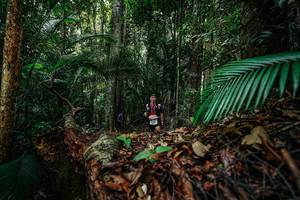 BIB: 
                            <button type="button" onclick="openModal(26426707)" class="btn btn-primary btn-sm float-right btn-popup" data-toggle="modal" data-target=".modal-high-quality">
                        <i class="fas fa-shopping-cart"></i> Add to Cart
                    </button>
                                            <button type="button" onclick="isThisMe(26426707, true)" class="btn btn-success btn-sm float-right btn-popup btn-isme hidden" data-toggle="tooltip" data-placement="bottom" title="นี่คือรูปของคุณใช่ไหม คลิกที่นี่เพื่อเอาเข้าอัลบั้ม">
                        <i class="fas fa-plus"></i> Add to album
                    </button>
                    <button type="button" onclick="isThisMe(26426707, false)" class="btn btn-warning btn-sm float-right btn-popup btn-isnotme hidden">
                        <i class="fas fa-ban"></i> Remove from album
                    </button>