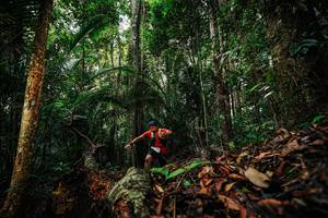 BIB: 
                            <button type="button" onclick="openModal(26420698)" class="btn btn-primary btn-sm float-right btn-popup" data-toggle="modal" data-target=".modal-high-quality">
                        <i class="fas fa-shopping-cart"></i> Add to Cart
                    </button>
                                            <button type="button" onclick="isThisMe(26420698, true)" class="btn btn-success btn-sm float-right btn-popup btn-isme hidden" data-toggle="tooltip" data-placement="bottom" title="นี่คือรูปของคุณใช่ไหม คลิกที่นี่เพื่อเอาเข้าอัลบั้ม">
                        <i class="fas fa-plus"></i> Add to album
                    </button>
                    <button type="button" onclick="isThisMe(26420698, false)" class="btn btn-warning btn-sm float-right btn-popup btn-isnotme hidden">
                        <i class="fas fa-ban"></i> Remove from album
                    </button>