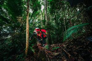 BIB: 
                            <button type="button" onclick="openModal(26432324)" class="btn btn-primary btn-sm float-right btn-popup" data-toggle="modal" data-target=".modal-high-quality">
                        <i class="fas fa-shopping-cart"></i> Add to Cart
                    </button>
                                            <button type="button" onclick="isThisMe(26432324, true)" class="btn btn-success btn-sm float-right btn-popup btn-isme hidden" data-toggle="tooltip" data-placement="bottom" title="นี่คือรูปของคุณใช่ไหม คลิกที่นี่เพื่อเอาเข้าอัลบั้ม">
                        <i class="fas fa-plus"></i> Add to album
                    </button>
                    <button type="button" onclick="isThisMe(26432324, false)" class="btn btn-warning btn-sm float-right btn-popup btn-isnotme hidden">
                        <i class="fas fa-ban"></i> Remove from album
                    </button>