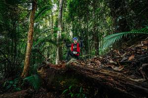 BIB: 
                            <button type="button" onclick="openModal(26425824)" class="btn btn-primary btn-sm float-right btn-popup" data-toggle="modal" data-target=".modal-high-quality">
                        <i class="fas fa-shopping-cart"></i> Add to Cart
                    </button>
                                            <button type="button" onclick="isThisMe(26425824, true)" class="btn btn-success btn-sm float-right btn-popup btn-isme hidden" data-toggle="tooltip" data-placement="bottom" title="นี่คือรูปของคุณใช่ไหม คลิกที่นี่เพื่อเอาเข้าอัลบั้ม">
                        <i class="fas fa-plus"></i> Add to album
                    </button>
                    <button type="button" onclick="isThisMe(26425824, false)" class="btn btn-warning btn-sm float-right btn-popup btn-isnotme hidden">
                        <i class="fas fa-ban"></i> Remove from album
                    </button>