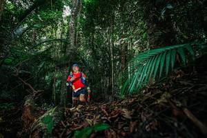 BIB: 
                            <button type="button" onclick="openModal(26431709)" class="btn btn-primary btn-sm float-right btn-popup" data-toggle="modal" data-target=".modal-high-quality">
                        <i class="fas fa-shopping-cart"></i> Add to Cart
                    </button>
                                            <button type="button" onclick="isThisMe(26431709, true)" class="btn btn-success btn-sm float-right btn-popup btn-isme hidden" data-toggle="tooltip" data-placement="bottom" title="นี่คือรูปของคุณใช่ไหม คลิกที่นี่เพื่อเอาเข้าอัลบั้ม">
                        <i class="fas fa-plus"></i> Add to album
                    </button>
                    <button type="button" onclick="isThisMe(26431709, false)" class="btn btn-warning btn-sm float-right btn-popup btn-isnotme hidden">
                        <i class="fas fa-ban"></i> Remove from album
                    </button>