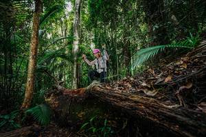 BIB: 
                            <button type="button" onclick="openModal(26425639)" class="btn btn-primary btn-sm float-right btn-popup" data-toggle="modal" data-target=".modal-high-quality">
                        <i class="fas fa-shopping-cart"></i> Add to Cart
                    </button>
                                            <button type="button" onclick="isThisMe(26425639, true)" class="btn btn-success btn-sm float-right btn-popup btn-isme hidden" data-toggle="tooltip" data-placement="bottom" title="นี่คือรูปของคุณใช่ไหม คลิกที่นี่เพื่อเอาเข้าอัลบั้ม">
                        <i class="fas fa-plus"></i> Add to album
                    </button>
                    <button type="button" onclick="isThisMe(26425639, false)" class="btn btn-warning btn-sm float-right btn-popup btn-isnotme hidden">
                        <i class="fas fa-ban"></i> Remove from album
                    </button>