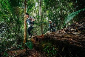 BIB: 
                            <button type="button" onclick="openModal(26424959)" class="btn btn-primary btn-sm float-right btn-popup" data-toggle="modal" data-target=".modal-high-quality">
                        <i class="fas fa-shopping-cart"></i> Add to Cart
                    </button>
                                            <button type="button" onclick="isThisMe(26424959, true)" class="btn btn-success btn-sm float-right btn-popup btn-isme hidden" data-toggle="tooltip" data-placement="bottom" title="นี่คือรูปของคุณใช่ไหม คลิกที่นี่เพื่อเอาเข้าอัลบั้ม">
                        <i class="fas fa-plus"></i> Add to album
                    </button>
                    <button type="button" onclick="isThisMe(26424959, false)" class="btn btn-warning btn-sm float-right btn-popup btn-isnotme hidden">
                        <i class="fas fa-ban"></i> Remove from album
                    </button>