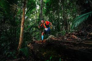 BIB: 
                            <button type="button" onclick="openModal(26424641)" class="btn btn-primary btn-sm float-right btn-popup" data-toggle="modal" data-target=".modal-high-quality">
                        <i class="fas fa-shopping-cart"></i> Add to Cart
                    </button>
                                            <button type="button" onclick="isThisMe(26424641, true)" class="btn btn-success btn-sm float-right btn-popup btn-isme hidden" data-toggle="tooltip" data-placement="bottom" title="นี่คือรูปของคุณใช่ไหม คลิกที่นี่เพื่อเอาเข้าอัลบั้ม">
                        <i class="fas fa-plus"></i> Add to album
                    </button>
                    <button type="button" onclick="isThisMe(26424641, false)" class="btn btn-warning btn-sm float-right btn-popup btn-isnotme hidden">
                        <i class="fas fa-ban"></i> Remove from album
                    </button>