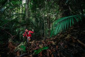 BIB: 
                            <button type="button" onclick="openModal(26431652)" class="btn btn-primary btn-sm float-right btn-popup" data-toggle="modal" data-target=".modal-high-quality">
                        <i class="fas fa-shopping-cart"></i> Add to Cart
                    </button>
                                            <button type="button" onclick="isThisMe(26431652, true)" class="btn btn-success btn-sm float-right btn-popup btn-isme hidden" data-toggle="tooltip" data-placement="bottom" title="นี่คือรูปของคุณใช่ไหม คลิกที่นี่เพื่อเอาเข้าอัลบั้ม">
                        <i class="fas fa-plus"></i> Add to album
                    </button>
                    <button type="button" onclick="isThisMe(26431652, false)" class="btn btn-warning btn-sm float-right btn-popup btn-isnotme hidden">
                        <i class="fas fa-ban"></i> Remove from album
                    </button>