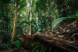 BIB: 
                            <button type="button" onclick="openModal(26425732)" class="btn btn-primary btn-sm float-right btn-popup" data-toggle="modal" data-target=".modal-high-quality">
                        <i class="fas fa-shopping-cart"></i> Add to Cart
                    </button>
                                            <button type="button" onclick="isThisMe(26425732, true)" class="btn btn-success btn-sm float-right btn-popup btn-isme hidden" data-toggle="tooltip" data-placement="bottom" title="นี่คือรูปของคุณใช่ไหม คลิกที่นี่เพื่อเอาเข้าอัลบั้ม">
                        <i class="fas fa-plus"></i> Add to album
                    </button>
                    <button type="button" onclick="isThisMe(26425732, false)" class="btn btn-warning btn-sm float-right btn-popup btn-isnotme hidden">
                        <i class="fas fa-ban"></i> Remove from album
                    </button>