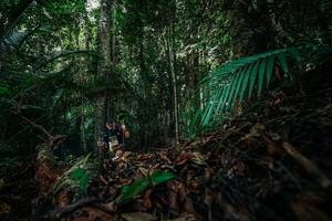 BIB: 
                            <button type="button" onclick="openModal(26431845)" class="btn btn-primary btn-sm float-right btn-popup" data-toggle="modal" data-target=".modal-high-quality">
                        <i class="fas fa-shopping-cart"></i> Add to Cart
                    </button>
                                            <button type="button" onclick="isThisMe(26431845, true)" class="btn btn-success btn-sm float-right btn-popup btn-isme hidden" data-toggle="tooltip" data-placement="bottom" title="นี่คือรูปของคุณใช่ไหม คลิกที่นี่เพื่อเอาเข้าอัลบั้ม">
                        <i class="fas fa-plus"></i> Add to album
                    </button>
                    <button type="button" onclick="isThisMe(26431845, false)" class="btn btn-warning btn-sm float-right btn-popup btn-isnotme hidden">
                        <i class="fas fa-ban"></i> Remove from album
                    </button>