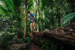 BIB: 
                            <button type="button" onclick="openModal(26425765)" class="btn btn-primary btn-sm float-right btn-popup" data-toggle="modal" data-target=".modal-high-quality">
                        <i class="fas fa-shopping-cart"></i> Add to Cart
                    </button>
                                            <button type="button" onclick="isThisMe(26425765, true)" class="btn btn-success btn-sm float-right btn-popup btn-isme hidden" data-toggle="tooltip" data-placement="bottom" title="นี่คือรูปของคุณใช่ไหม คลิกที่นี่เพื่อเอาเข้าอัลบั้ม">
                        <i class="fas fa-plus"></i> Add to album
                    </button>
                    <button type="button" onclick="isThisMe(26425765, false)" class="btn btn-warning btn-sm float-right btn-popup btn-isnotme hidden">
                        <i class="fas fa-ban"></i> Remove from album
                    </button>